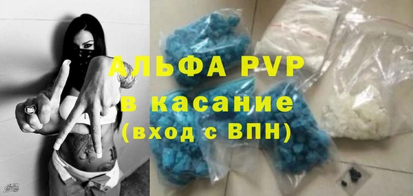 амф Алексин