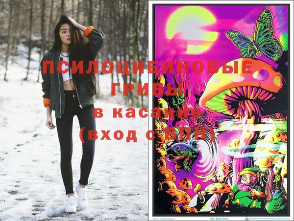 ALPHA-PVP Алексеевка